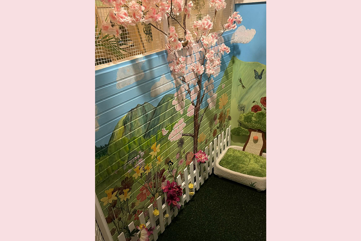 Cat Boarding Garden Room