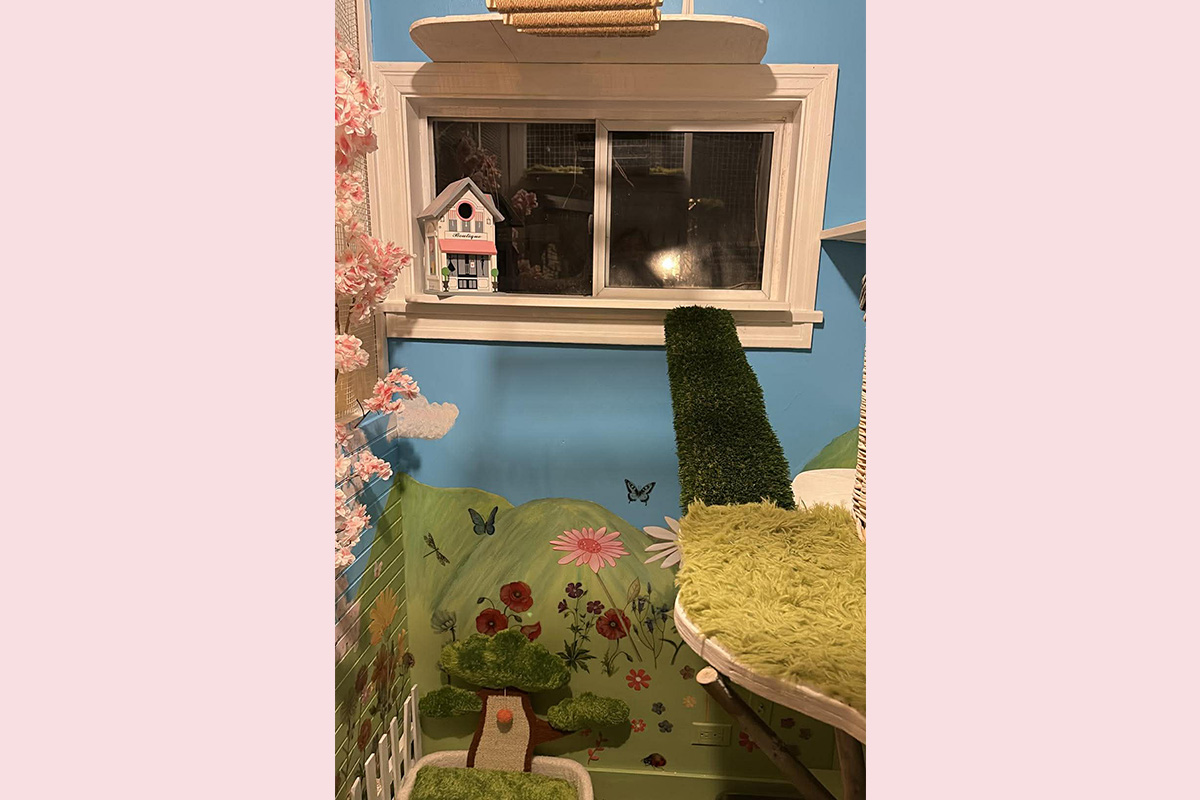 Cat Boarding Garden Room