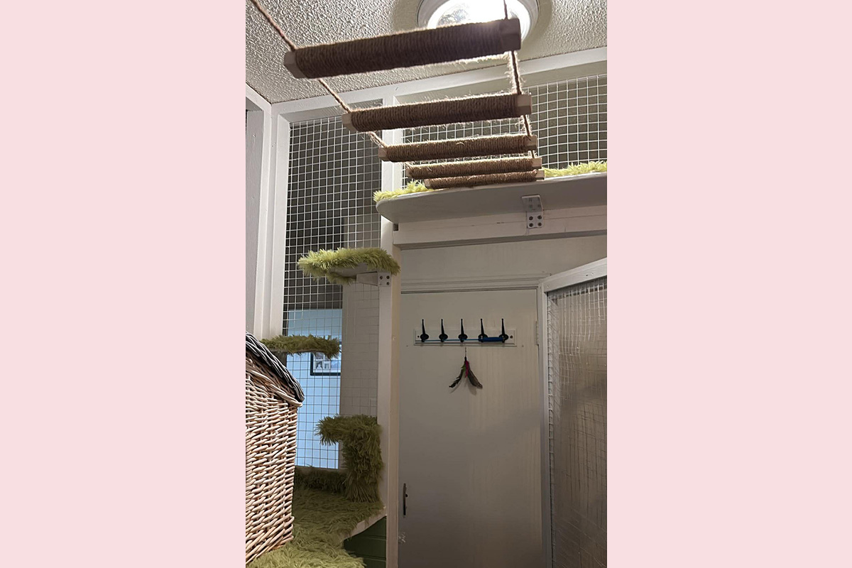 Cat Boarding Garden Room