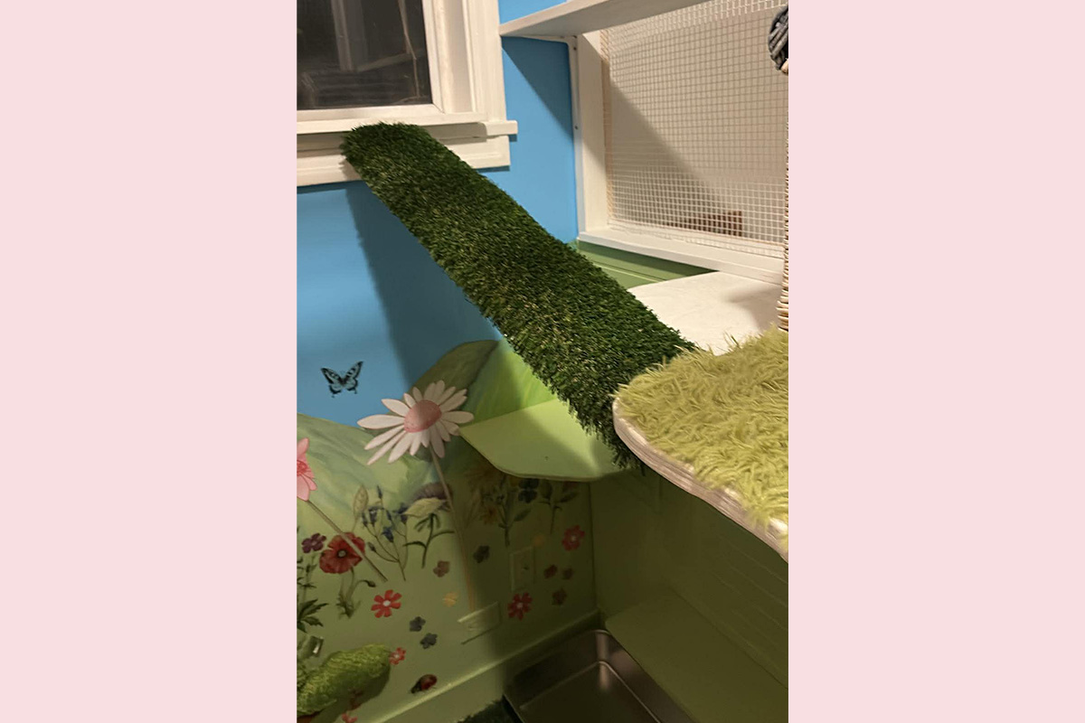 Cat Boarding Garden Room