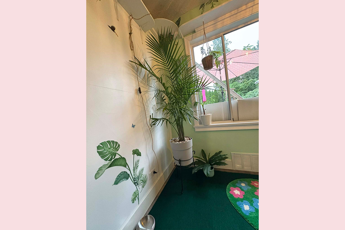 Cat Boarding Jungle Room