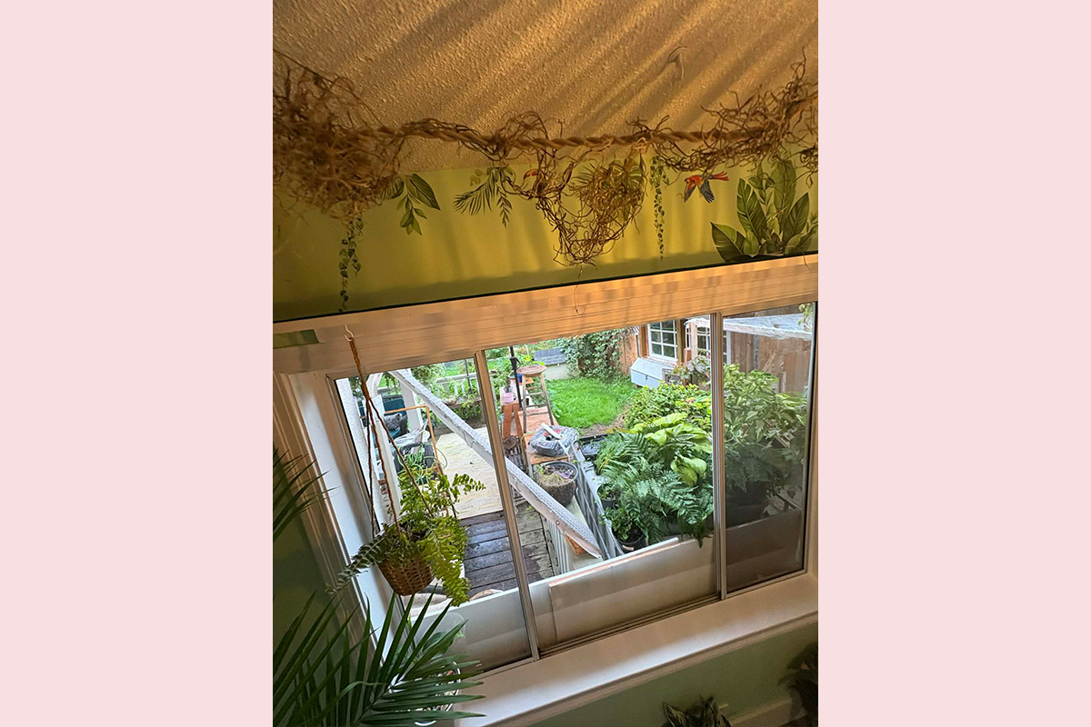 Cat Boarding Jungle Room