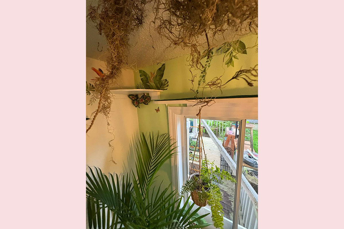 Cat Boarding Jungle Room