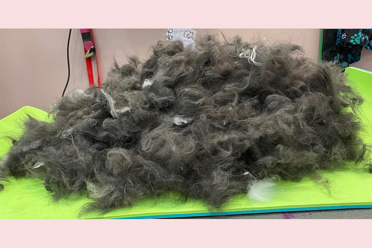 Black and white shed pile